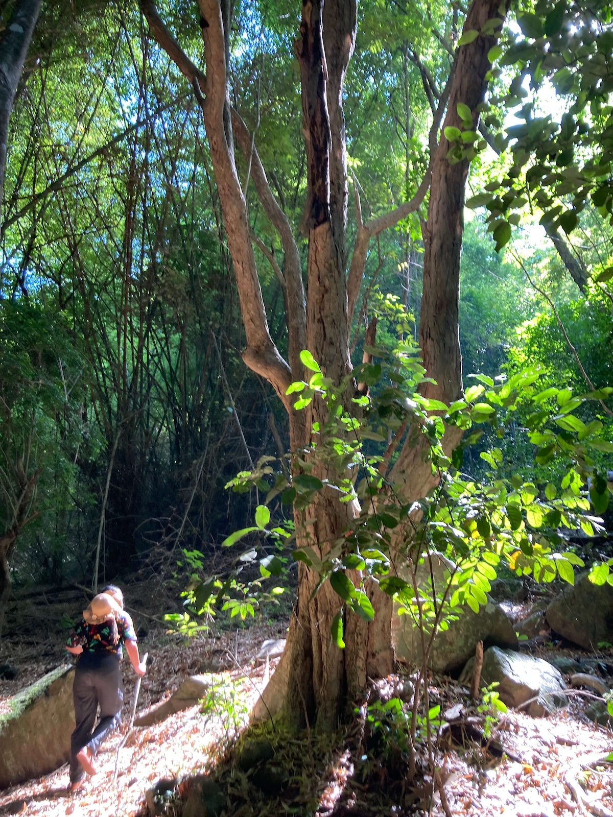 Hiking around green hills in Sekongkang
