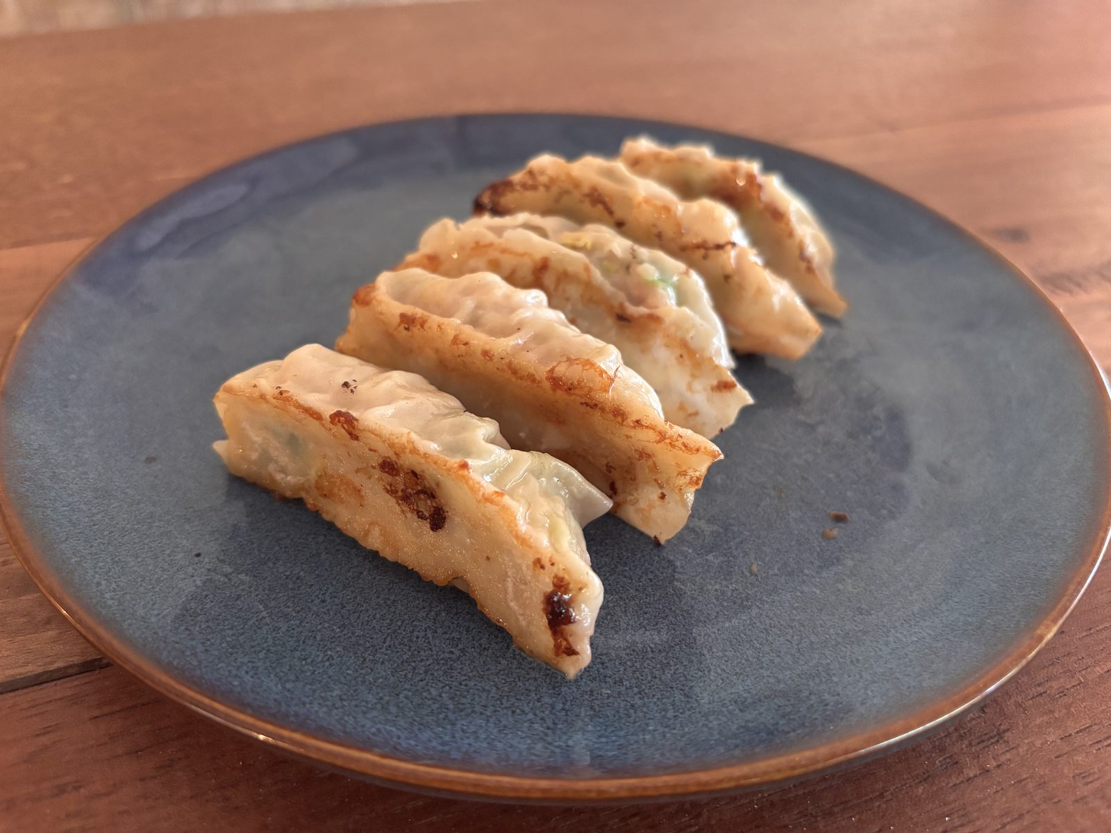 Homemade pan-fried gyoza dumplings at CintaDamai